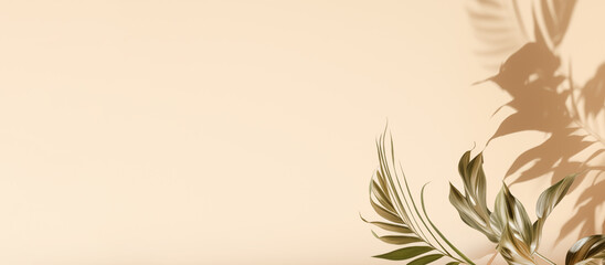 banner interior plants falling shadows beige background