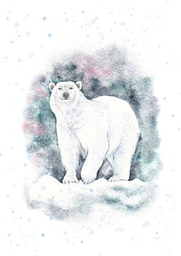 Watercolor illustration of a polar bear in snow. Winter hand painted background.