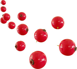 falling red currant fruit