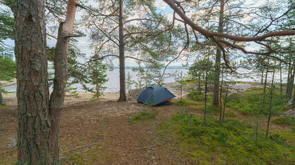 Tent in the forest on the shore of a lake.