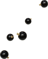 falling blackcurrant berries