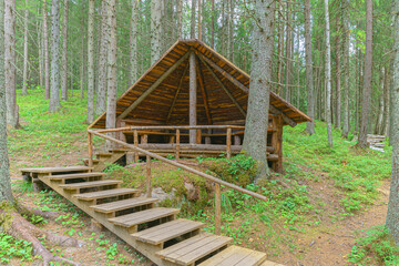 Wooden roof canopy in the forest in summer.