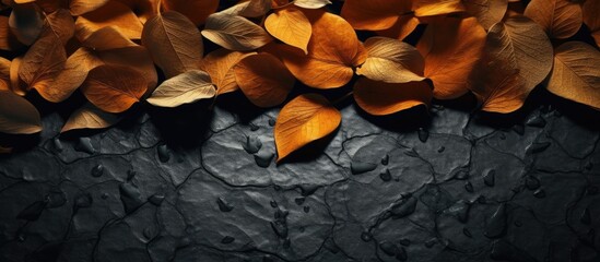Copy space, illustration of fallen orange leaves faded cement black background - obrazy, fototapety, plakaty