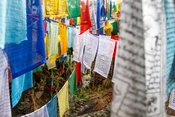 Fototapeta premium Colorful prayerflags at Burning Lake, a religious site, Jakar, Bumthang Valley, Bhutan