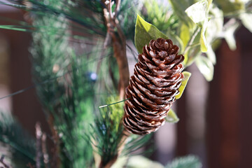 A beautiful pine cone. Arrangement for the winter holidays.