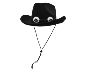 Image of Classic Cowboy Hat