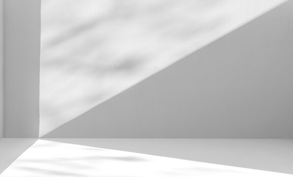 Empty grey color Cement wall room interior texture background, Sunlight and shadow leaves overlay with floor concrete studio perspective backdrop well display product and text presentation