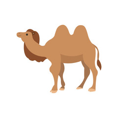 Two-Hump Camel vector