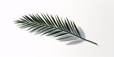 A large green leaf on a white background Generative AI