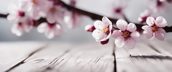 Poster Plum Flowers Blossom on white wood plank with copy space © Adi