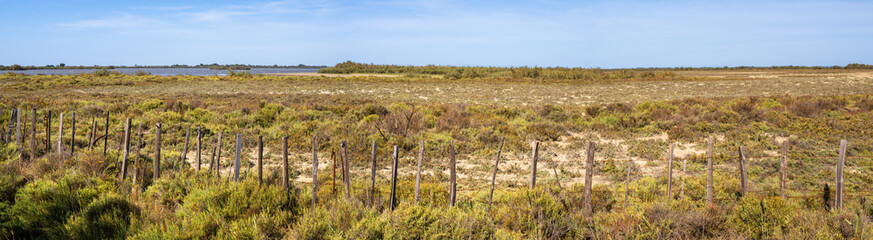 Fototapeta na wymiar The Camargue is a nature reserve - alluvial plain in Provence in the south of France. Image of an arid landscape in autumn