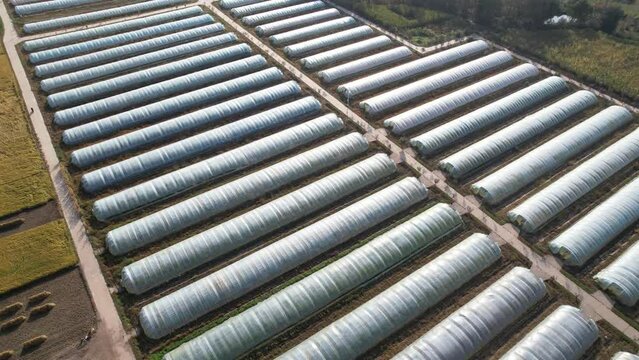 plastic greenhouse in field
