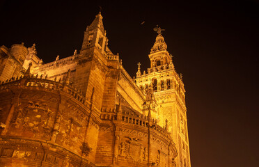 the lights of the night illuminate the splendid architecture of Seville