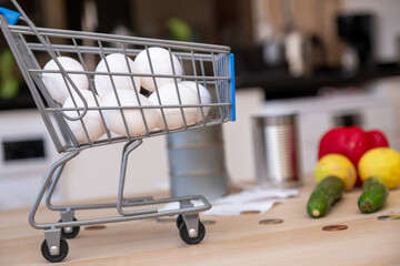 Shopping cart represents the costs of living holding house supplies