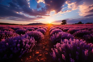 Fototapeten Beautiful lavender field with long purple rows at sunset in France, Generative AI © Анатолий Савицкий