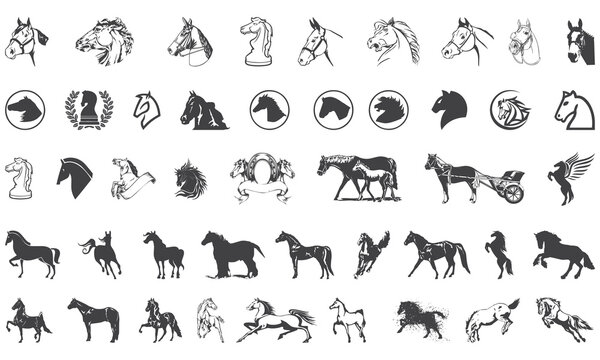 Horse glyph bundle