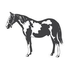 Horse icon