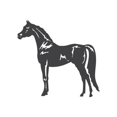 Horse icon