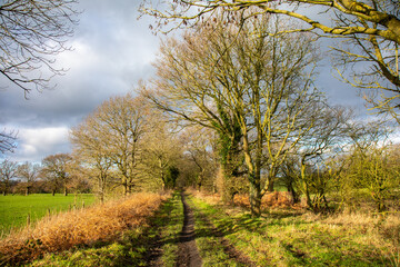 path to the field