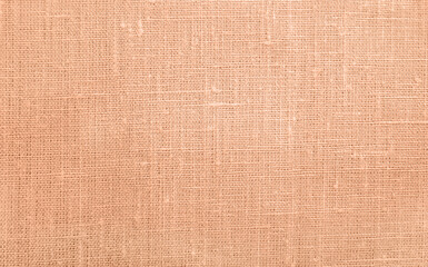 Peach Fuzz fabric blank canvas, cotton or linen texture, 2024 fabric trendy color swatch for...