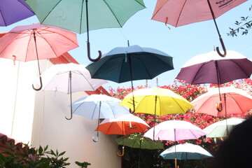Paraguas colgantes