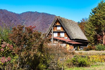 Fototapeta na wymiar Village de Shirakawa-go, Japon