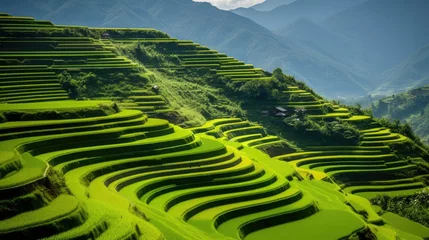 Rolgordijnen terraced rice field © faiz