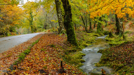 Autumn landscape at Geres National Park