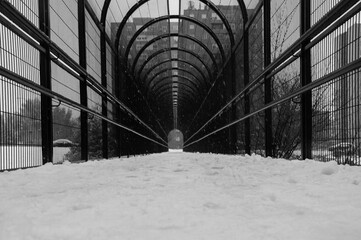 Nieve , tormentas, winter , invierno, frío