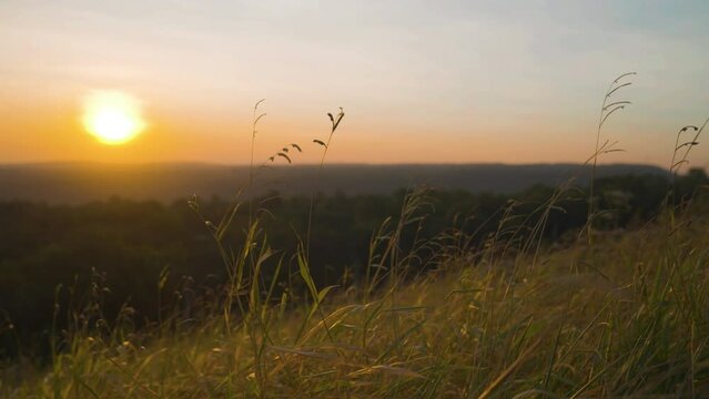 Grass on hill of sunrise sky background view