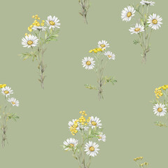 Seamless pattern Watercolor Daisy and tansy. Hand drawn illustration of Chamomile. bouquet of white blossom flowers on isolated background. Drawing botanical clipart invitation cards. Paint wildflower