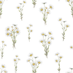 Fototapeta premium Seamless pattern Watercolor Daisy. Hand drawn illustration of Chamomile. bouquet of white blossom flowers on isolated background. Drawing botanical clipart invitation cards. Hand painted wildflowers.
