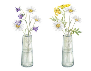 Watercolor Daisy and bluebell. Hand drawn illustration of Chamomile and little violet bell. Tansy in glass jar. bouquet of white blossom flowers on isolated background. Drawing botanical wildflowers.