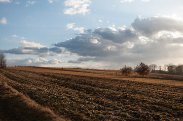 Polski krajobraz zimowy, jesienny, pola, drzewa, barwy ziemi, słoneczny dzień