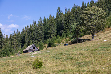 Landscape of the Ukrainian Carpathians against the sky with clouds in summer