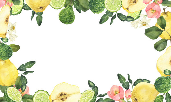 Watercolor bergamot and quince illustration. Whole and sliced bergamot and quince fruits, leaves and flowers. Hand drawn frame isolated on white background perfect for packaging, invitations.