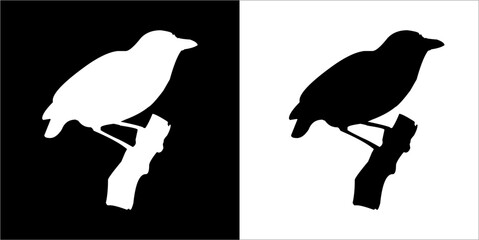 Illustration vector graphics of starling icon