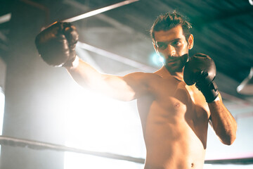 Boxing gym, man portrait and boxer pose technique for protection in mma fight practice studio. Exercise, fitness and athlete focus training for kickboxing safety and wellness preparation. - obrazy, fototapety, plakaty