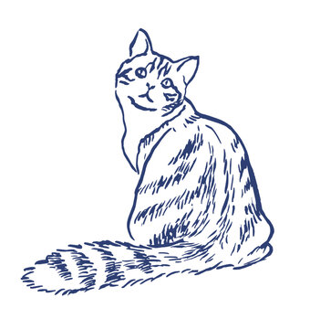 recommend clip art: Hand drawn vector  cat  illustration, pets ,fluffy cat , tabby cat , animals , sketch , cats ,line art , vector cat illustration, 