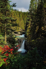 waterfall in the forest