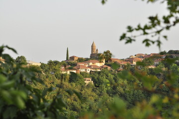 Widok na miasteczko Signaghi, Gruzja, winnice, krajobraz