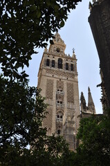 La Giralda, Sevilla, Hiszpania, katedra, pałac, miasto, ulice, widok z góry