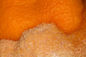 Penicillin mold growing on an orange.