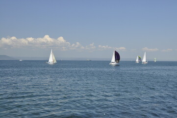 Port, Władywostok, Rosja. Statki, okręty, most, zatoka, łodzie, pływanie © Ornela