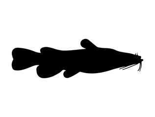 Cat Fish silhouette vector art white background