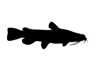Cat Fish silhouette vector art white background