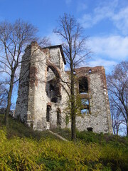 Ruiny zamku na Jurze krakowsko - częstochowskiej