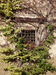 Okno w starym zamku