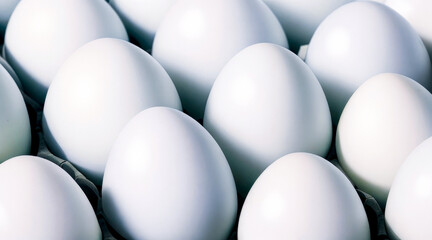 Close up of white chicken eggs. White chicken eggs in a cardboard box