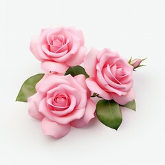 3d rendering pink roses isolated on white background.